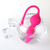 Seductiva Rechargeable Pleasure Balls